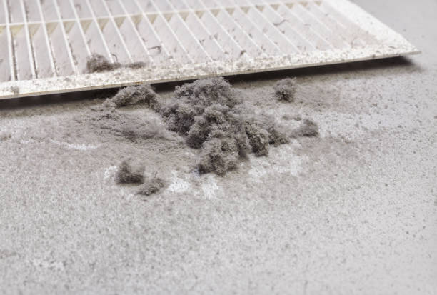 Best Ductwork Cleaning Services  in Brenham, TX